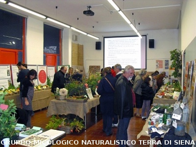 XIV^ Mostra Micologica Senese