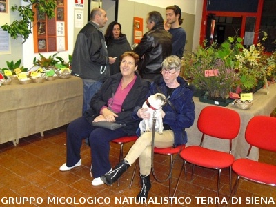 XIV^ Mostra Micologica Senese
