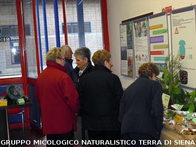 XIV^ Mostra Micologica Senese