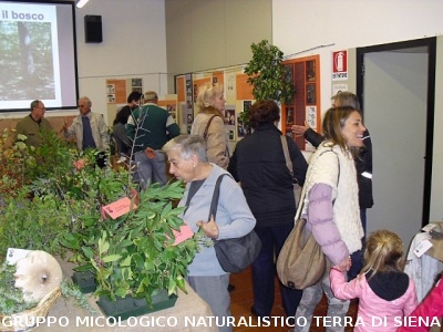 XIV^ Mostra Micologica Senese