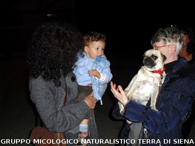 XIV^ Mostra Micologica Senese