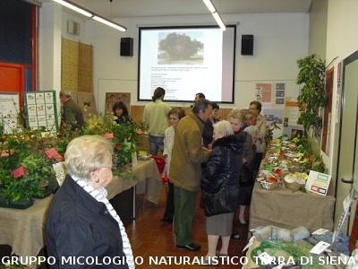 XIV^ Mostra Micologica Senese