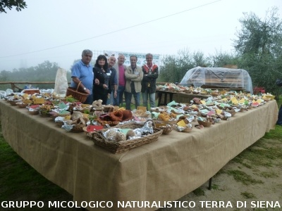Mostra Micologica a Ancaiano