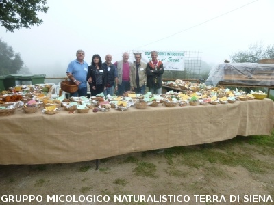 Mostra Micologica a Ancaiano
