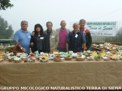 Mostra Micologica a Ancaiano