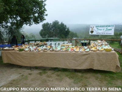 Mostra Micologica a Ancaiano