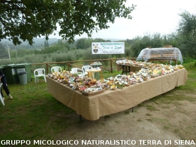 Mostra Micologica a Ancaiano