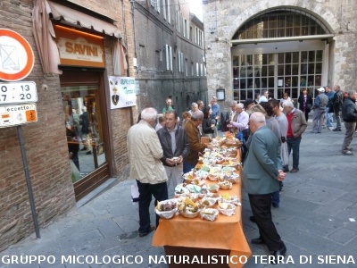 Mostra Micologica alla Festa d'Autunno