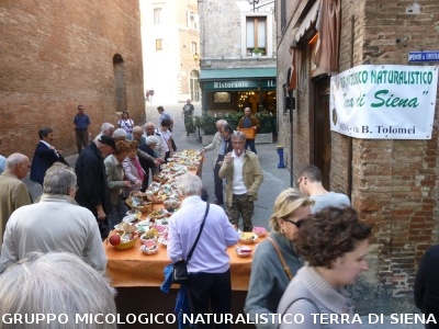 Mostra Micologica alla Festa d'Autunno