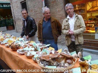 Mostra Micologica alla Festa d'Autunno