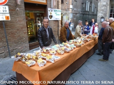 Mostra Micologica alla Festa d'Autunno