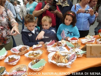 Mostra Micologica alla Festa d'Autunno