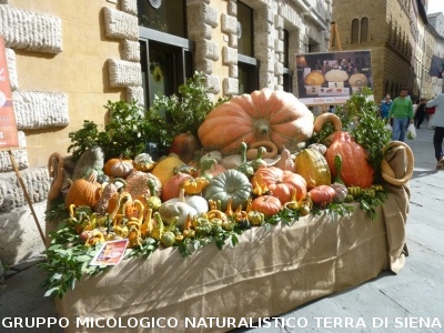 Mostra Micologica alla Festa d'Autunno