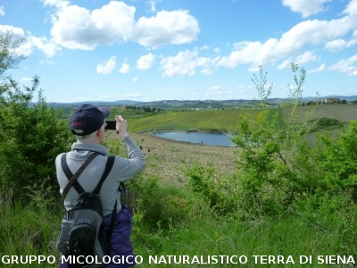 Le Crete Senesi