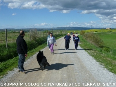 Le Crete Senesi