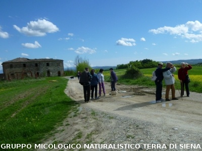 Le Crete Senesi