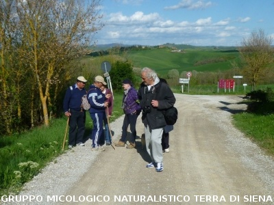 Le Crete Senesi