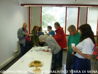 Ricerca delle erbe spontanee e commestibili
