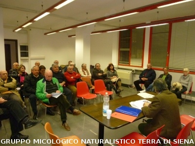 Assemblea Generale