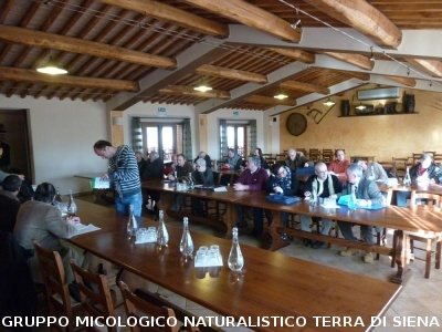 Consiglio Direttivo AGMT a Siena