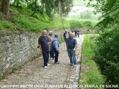 Castello di Brolio