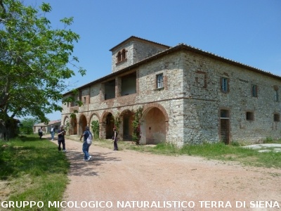 Castello di Brolio