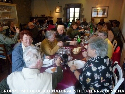 Ricerca funghi al Belagaio