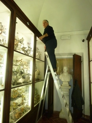 COLLEZIONE VALENTI SERINI