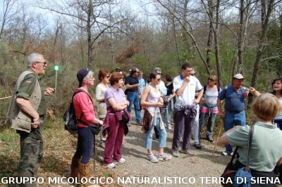 Monte Siepi e San Galgano