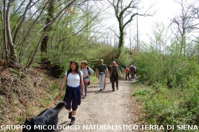 Monte Siepi e San Galgano