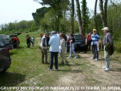 Monte Siepi e San Galgano