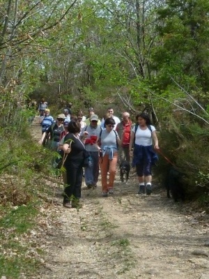 Monte Siepi e San Galgano
