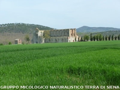 Monte Siepi e San Galgano