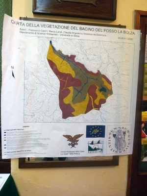 XXIX Comitato Scientifico