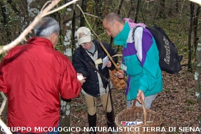 XXIX Comitato Scientifico