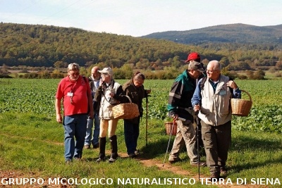 XXIX Comitato Scientifico