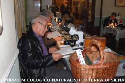 XXIX Comitato Scientifico