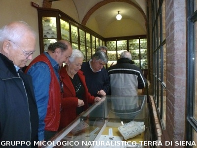 XXIX Comitato Scientifico