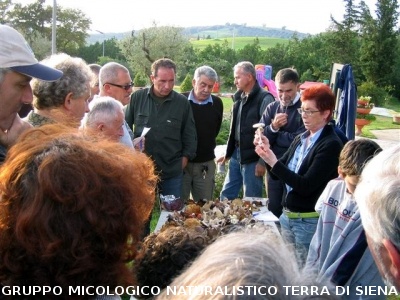 Escursione micologica sul Monte Amiata
