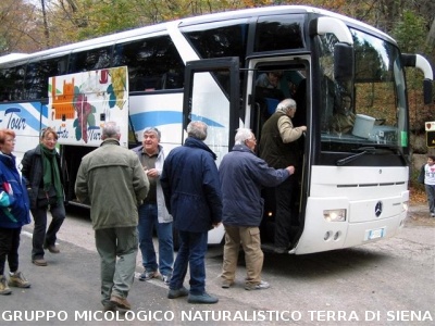 Escursione micologica sul Monte Amiata