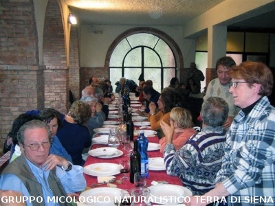 Escursione micologica sul Monte Amiata