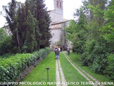 Escursione naturalistica sul Monte Cetona 