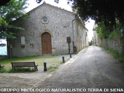 Escursione naturalistica sul Monte Cetona