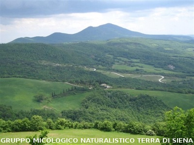 Escursione naturalistica sul Monte Cetona 