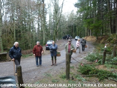 A Vallombrosa alla ricerca del 