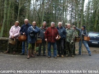 A Vallombrosa alla ricerca del 