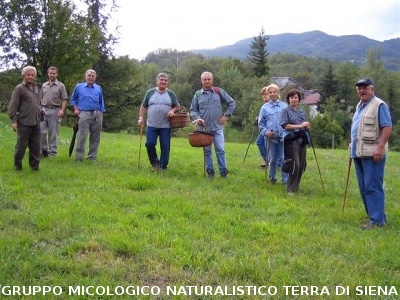 Primo Stage micologico