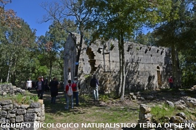 Escursione a Castelvecchio di San Gimignano