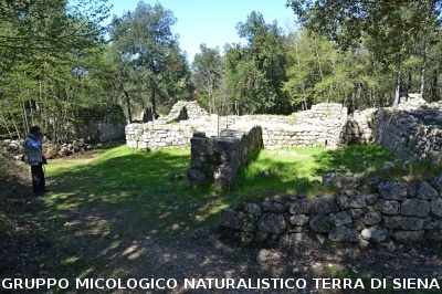 Escursione a Castelvecchio di San Gimignano