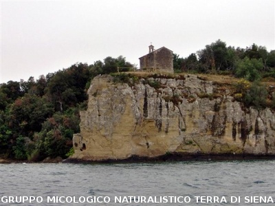 Escursione al Lago di Bolsena